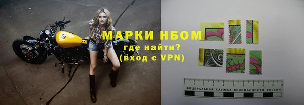 стаф Алексин
