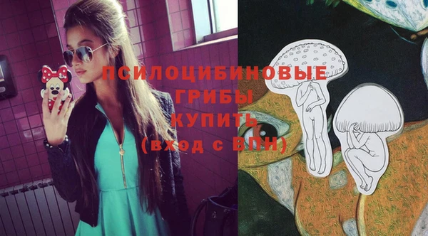 твердый Алзамай